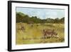 Rural View I-Ethan Harper-Framed Art Print