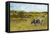 Rural View II-Ethan Harper-Framed Stretched Canvas