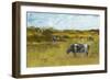 Rural View II-Ethan Harper-Framed Art Print