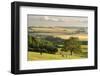 Rural view of countryside with grazing cattle, Somerset, UK-Ross Hoddinott-Framed Photographic Print