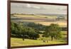 Rural view of countryside with grazing cattle, Somerset, UK-Ross Hoddinott-Framed Photographic Print