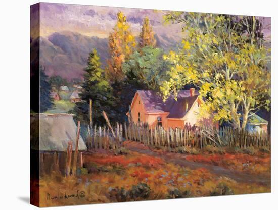 Rural Vista II-Nancy Lund-Stretched Canvas