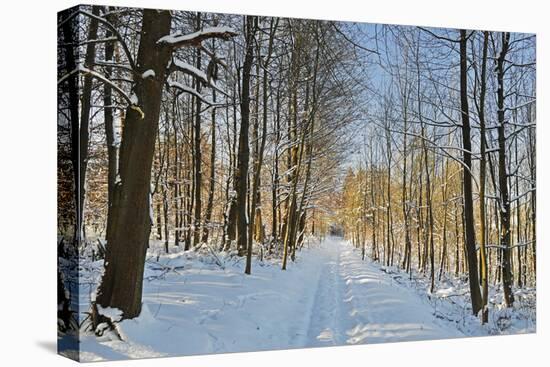 Rural Winter Scene-Jochen Schlenker-Stretched Canvas