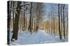 Rural Winter Scene-Jochen Schlenker-Stretched Canvas