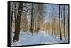 Rural Winter Scene-Jochen Schlenker-Framed Stretched Canvas