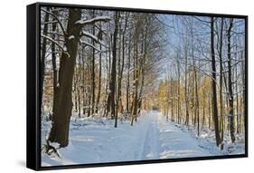 Rural Winter Scene-Jochen Schlenker-Framed Stretched Canvas