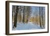 Rural Winter Scene-Jochen Schlenker-Framed Photographic Print