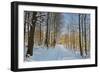 Rural Winter Scene-Jochen Schlenker-Framed Photographic Print