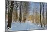 Rural Winter Scene-Jochen Schlenker-Mounted Photographic Print