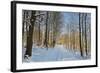 Rural Winter Scene-Jochen Schlenker-Framed Photographic Print