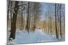 Rural Winter Scene-Jochen Schlenker-Mounted Photographic Print