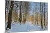 Rural Winter Scene-Jochen Schlenker-Mounted Photographic Print