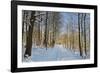 Rural Winter Scene-Jochen Schlenker-Framed Photographic Print