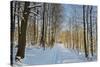 Rural Winter Scene-Jochen Schlenker-Stretched Canvas