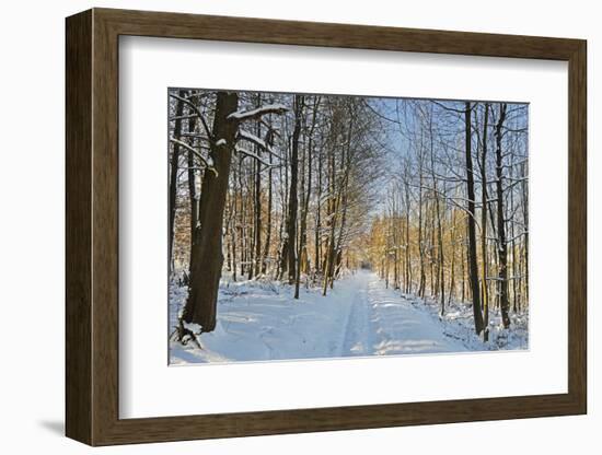 Rural Winter Scene-Jochen Schlenker-Framed Photographic Print