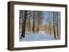 Rural Winter Scene-Jochen Schlenker-Framed Photographic Print