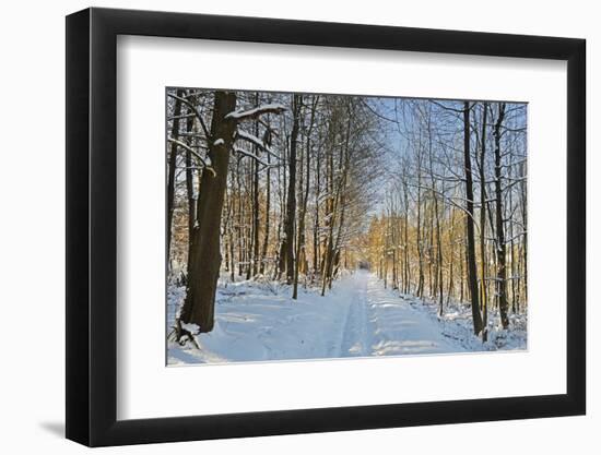Rural Winter Scene-Jochen Schlenker-Framed Photographic Print