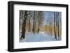 Rural Winter Scene-Jochen Schlenker-Framed Photographic Print