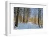 Rural Winter Scene-Jochen Schlenker-Framed Photographic Print