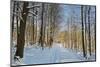 Rural Winter Scene-Jochen Schlenker-Mounted Photographic Print