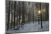 Rural Winter Scene-Jochen Schlenker-Mounted Photographic Print