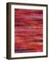 Rush Hour Scales III-Rikki Drotar-Framed Giclee Print