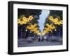 Rush Hour Traffic, Ho Chi Minh City (Saigon), Vietnam, Indochina, Southeast Asia, Asia-Christian Kober-Framed Photographic Print