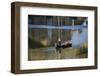 Rush Hour-Valda Bailey-Framed Photographic Print