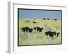 Rush hour-Pat Scott-Framed Giclee Print