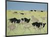 Rush hour-Pat Scott-Mounted Giclee Print