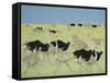 Rush Hour-Pat Scott-Framed Stretched Canvas