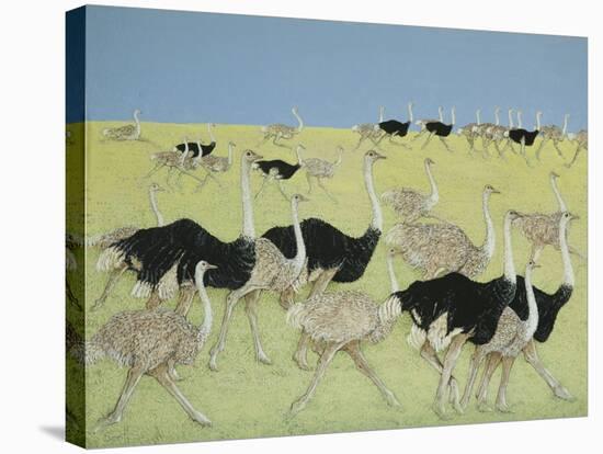 Rush Hour-Pat Scott-Stretched Canvas