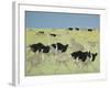 Rush Hour-Pat Scott-Framed Giclee Print