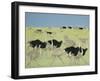 Rush Hour-Pat Scott-Framed Giclee Print