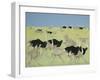 Rush Hour-Pat Scott-Framed Giclee Print