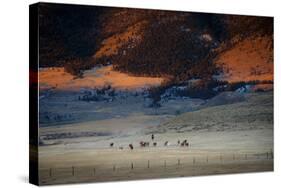 Rusher Ranch-Dan Ballard-Stretched Canvas