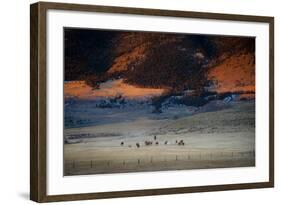 Rusher Ranch-Dan Ballard-Framed Photographic Print