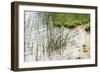 Rushing Reeds-Mike Toy-Framed Giclee Print