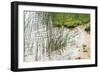 Rushing Reeds-Mike Toy-Framed Giclee Print