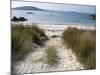 Rushy Bay, Bryher, Isles of Scilly, United Kingdom, Europe-null-Mounted Photographic Print