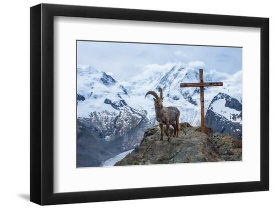 Premium Photographic Print, , large