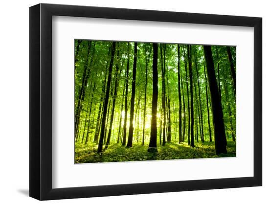 Premium Photographic Print, , large