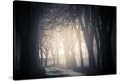 Stretched Canvas