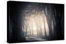 Stretched Canvas