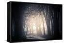 Canvas Black