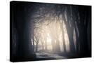 Stretched Canvas