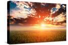 Stretched Canvas