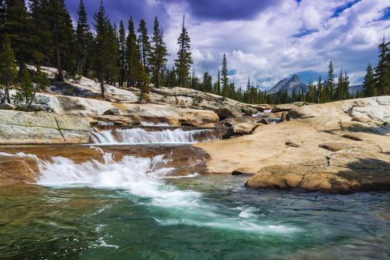 Premium Photographic Print, , large
