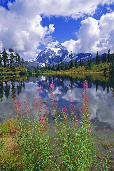 Premium Photographic Print, , large