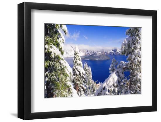 Premium Photographic Print, , large